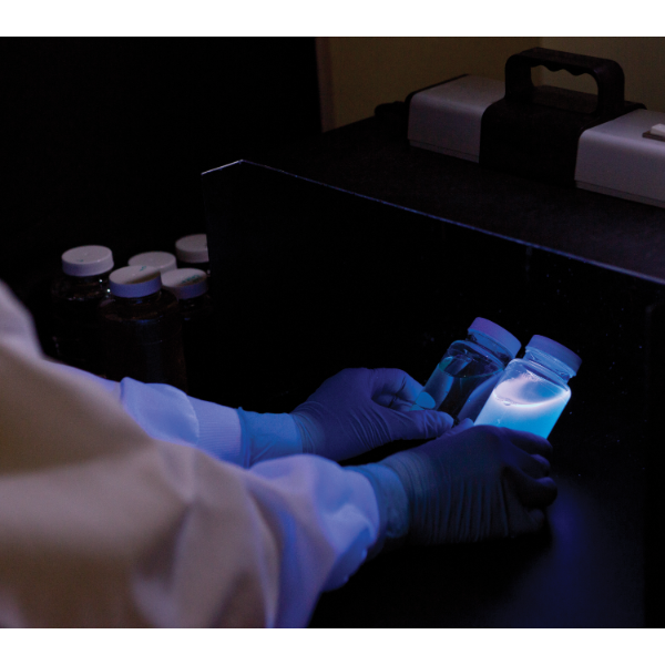 Pseudalert铜绿假单胞菌检测试剂盒