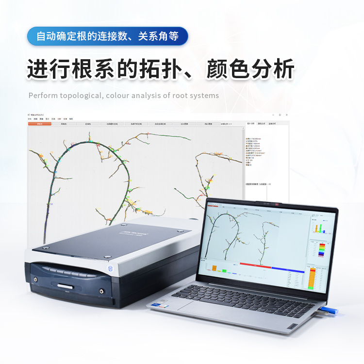 根系分析仪_来因科技植物根系分析系统