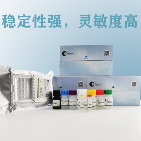 Cell Counting Kit-8（CCK-8）细胞增殖检测试剂盒 