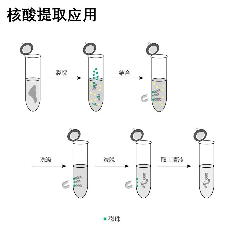 96通道磁棒法核酸提取系统 欧罗拉核酸提取仪