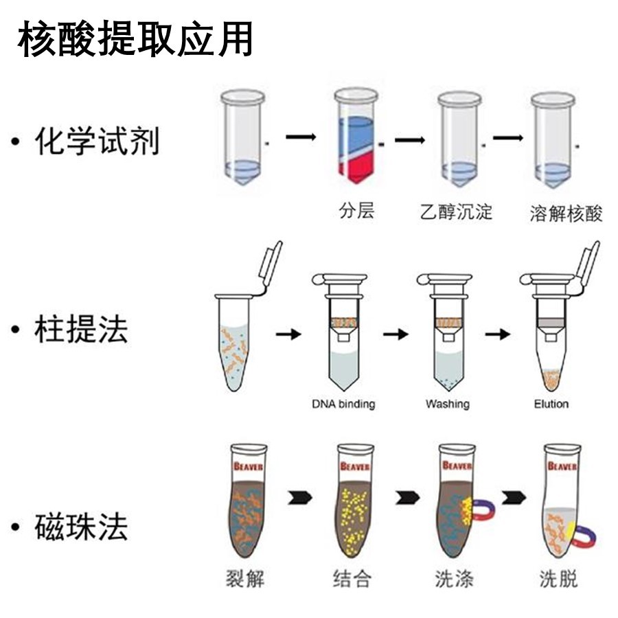 临床制药核酸提取 欧罗拉液体处理工作站