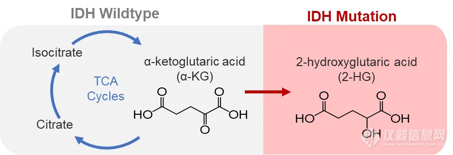 质谱POCT——90秒诊断脑胶质瘤术中分子病理