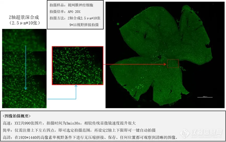 【生命科学领域必看】多彩荧光世界指南