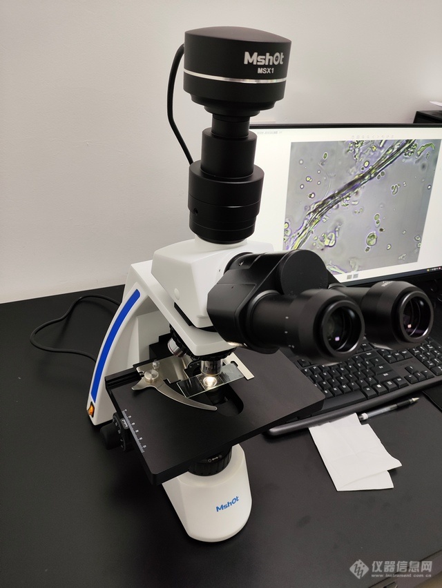 简易偏光显微镜ML31-P：制药行业观察的得力工具