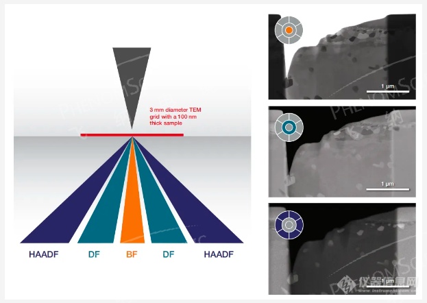 台式场发射扫描-透射（SEM—STEM）电子显微镜应用案例分享