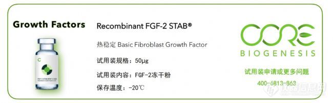 FGF-2 STAB细胞因子试用装限时申请