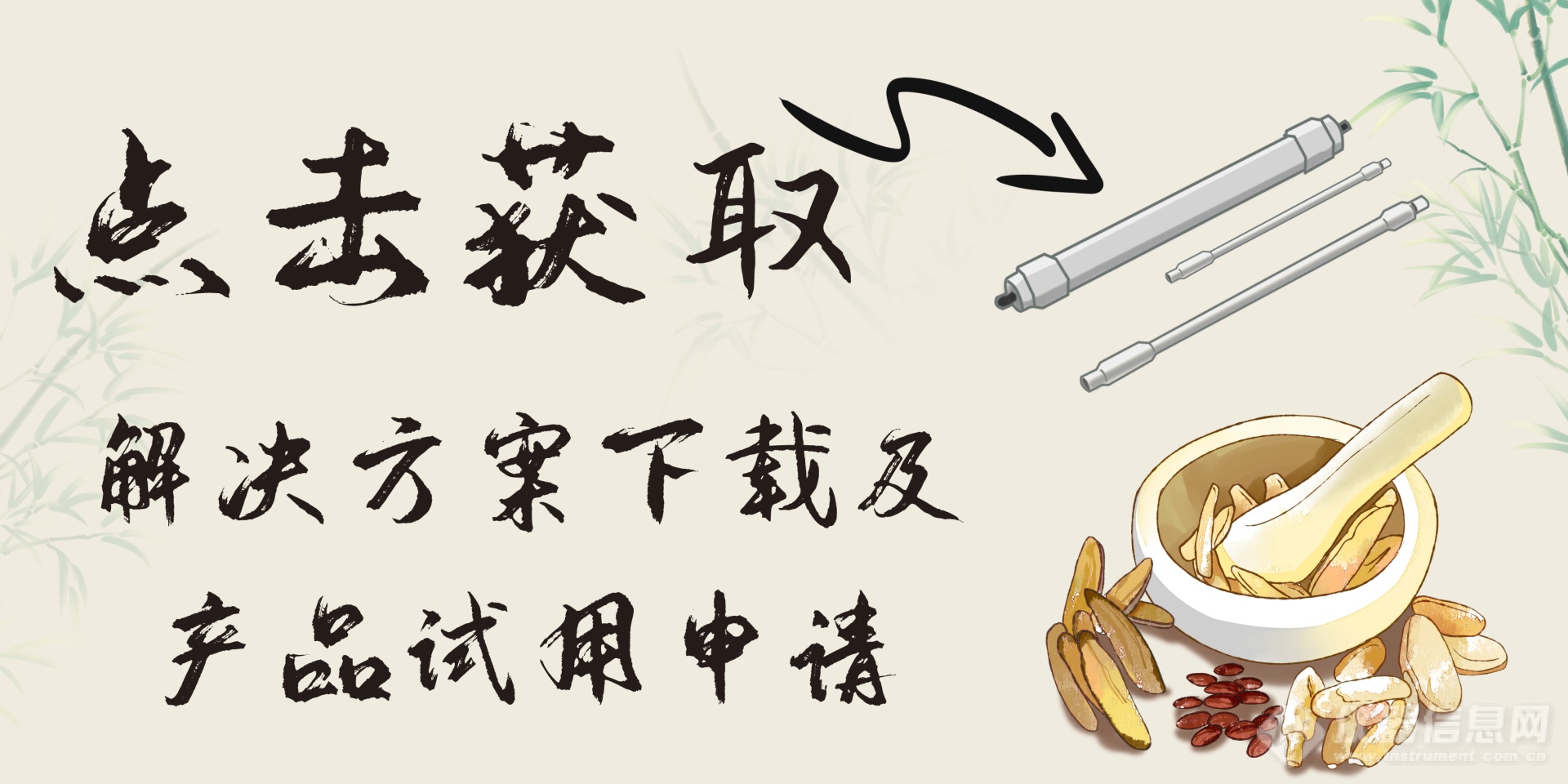 川牛膝 下载图.png