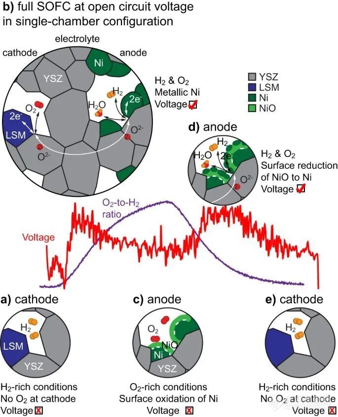 在 ETEM 中观察到的单室配置 SOFC 运行示意图。
