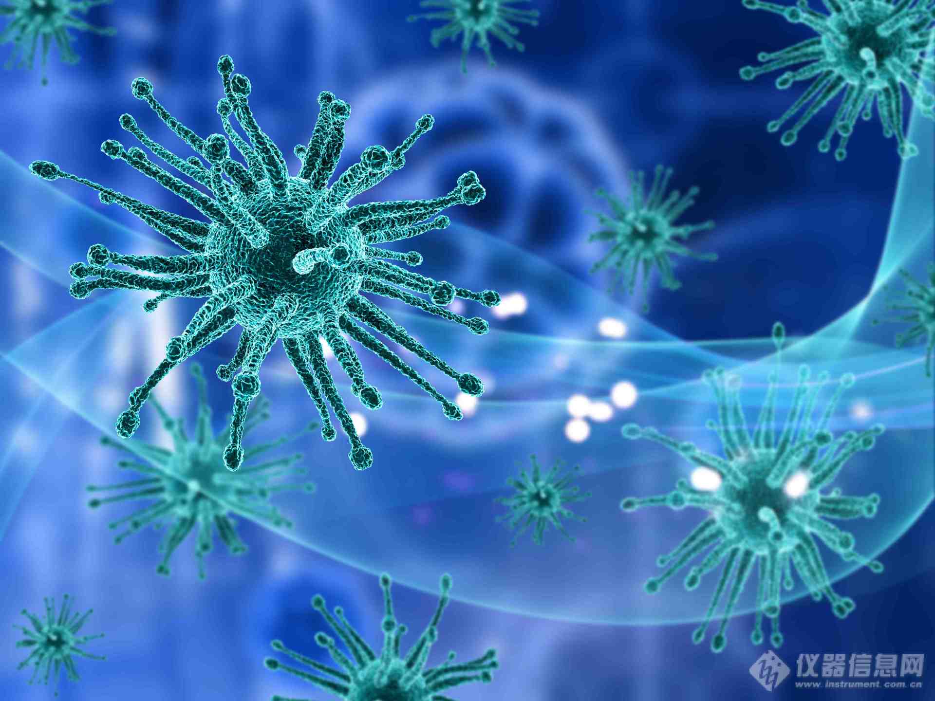 清道夫受体SR-A在天然免疫中的作用及其机制探讨