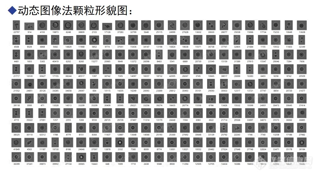 流式动态图像法粒度仪评定混悬剂质量的方法及混悬剂颗粒大小的测定