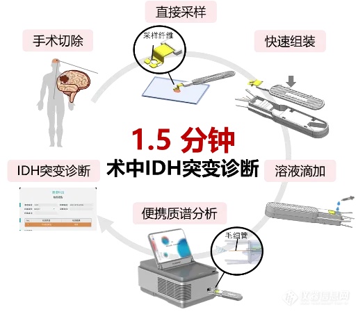 质谱POCT——90秒诊断脑胶质瘤术中分子病理