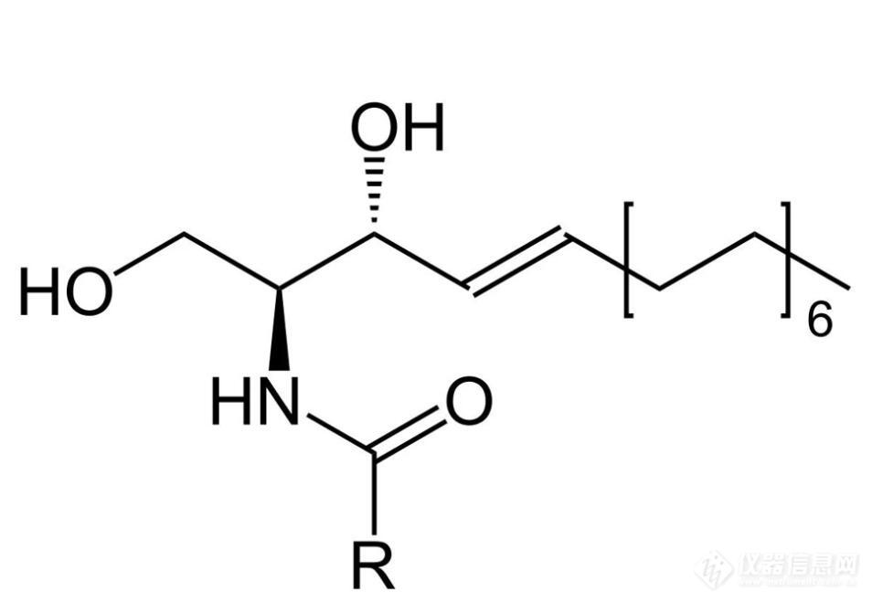 ​上海甄准鞘脂产品介绍