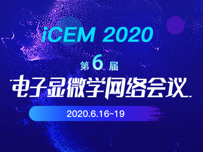 iCEM 2019