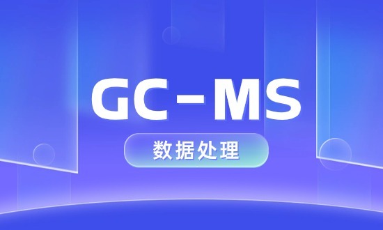  GC-MS数据处理