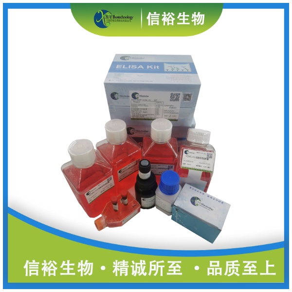 Human PAPPA(Pappalysin-1) ELISA Kit XY9H0333