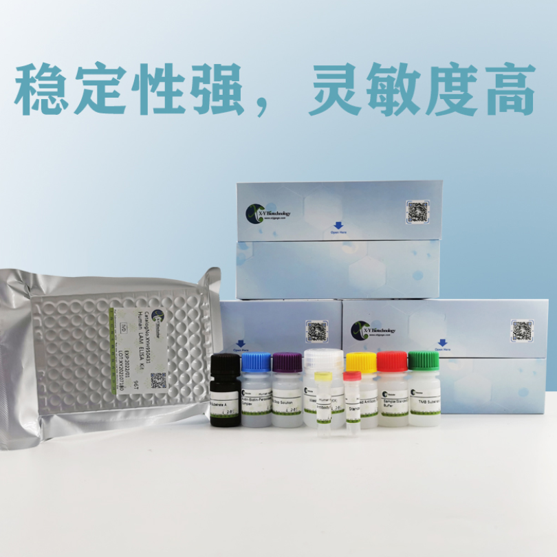 Chicken IgG(Immunoglobulin G) ELISA Kit XY9CH0031