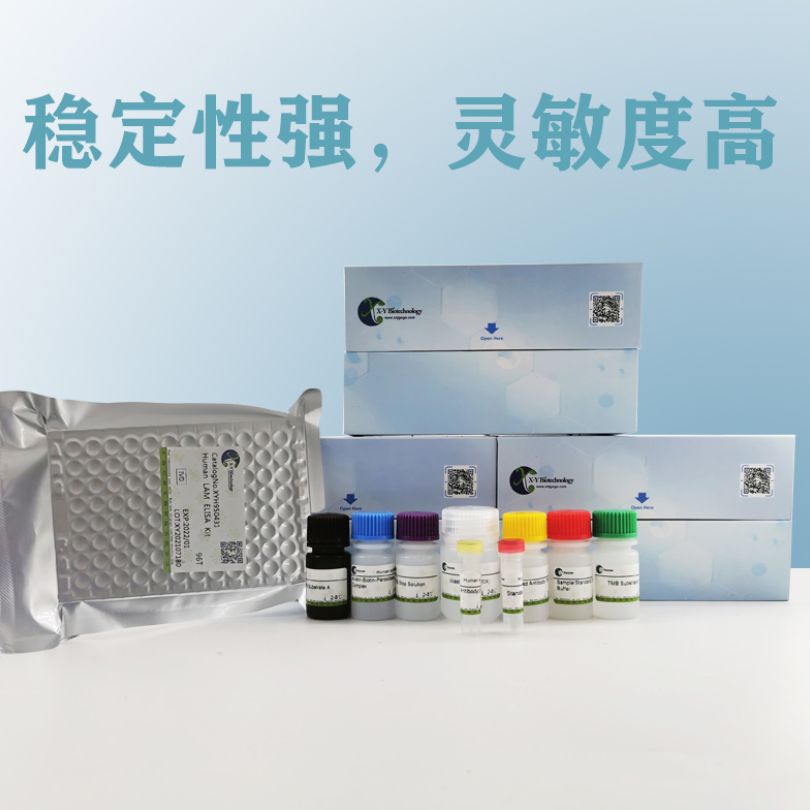 Human PDGFA ELISA Kit XY9H0511