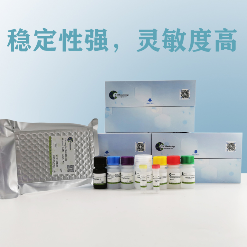 Chicken S100A6(S100 Calcium Binding Protein A6) ELISA Kit XY9CH0063