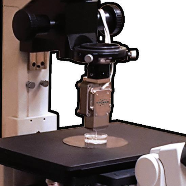 Bruker 显微镜联用 纳米力学测试系统 Hysitron BioSoft