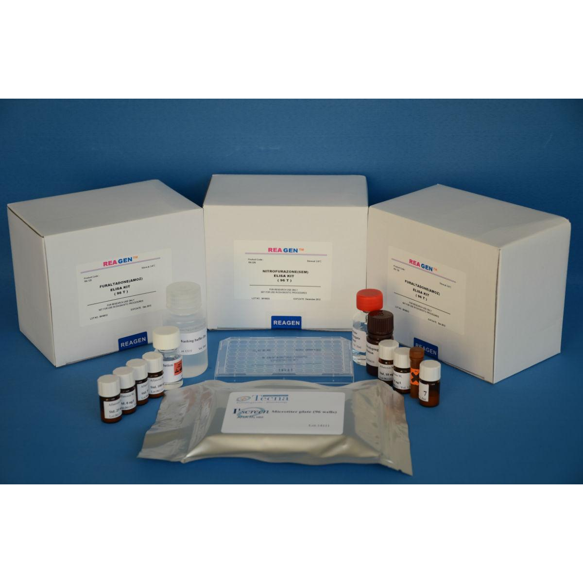 仓鼠环磷酸腺苷(cAMP)ELISA试剂盒