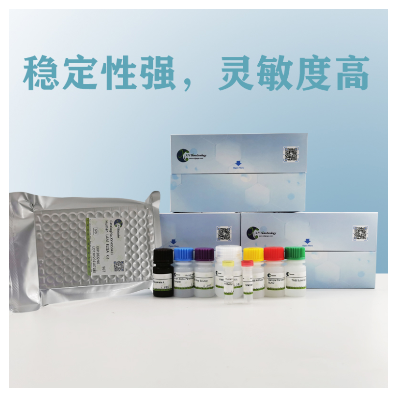 Goat IgM(Immunoglobulin M) ELISA Kit XY9G0005