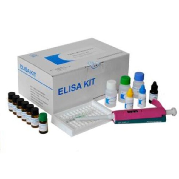 大鼠组织胺ELISA试剂盒