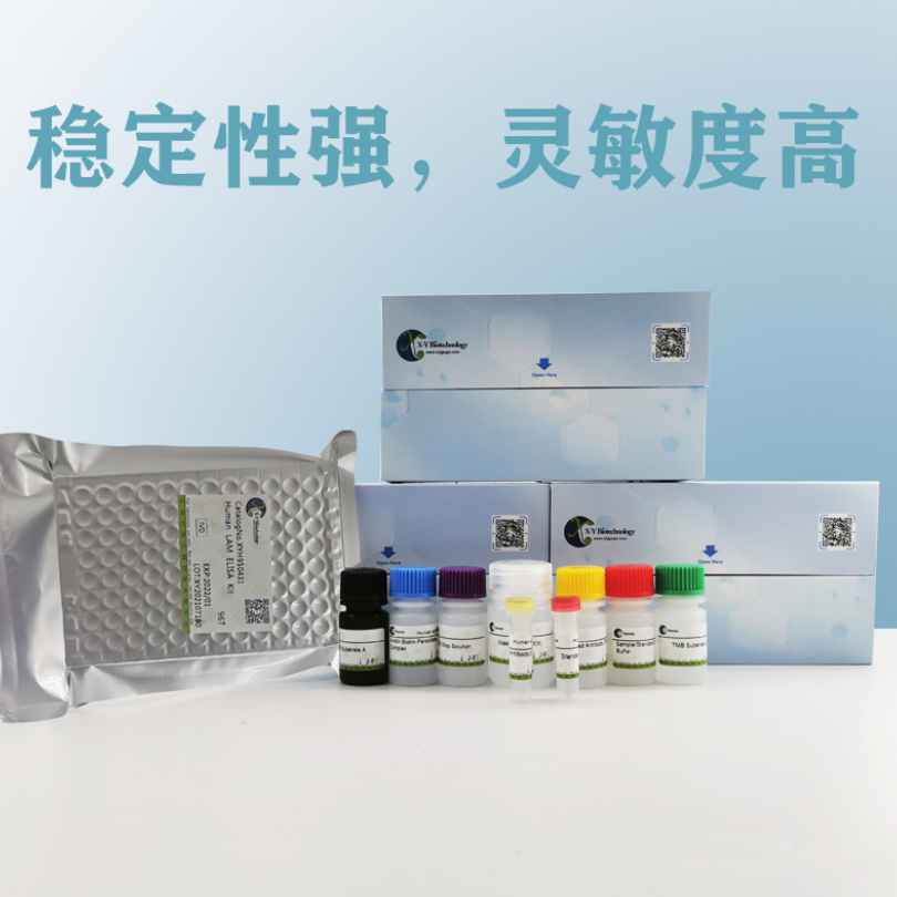 Human BAFF(B-Cell Activating Factor) ELISA Kit XY9H0042