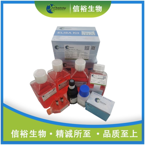 Human NAGA(Alpha-N-acetylgalactosaminidase) ELISA Kit XY9H1510