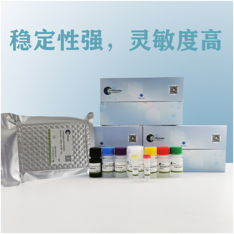 Human S100A7(Protein S100-A7) ELISA Kit XY9H1657