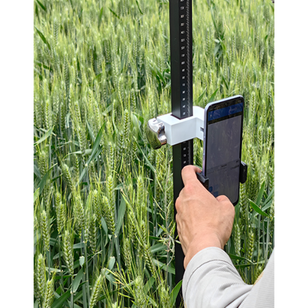 植物群体结构测量仪   小麦株高测量仪  HTXM-ZG-1