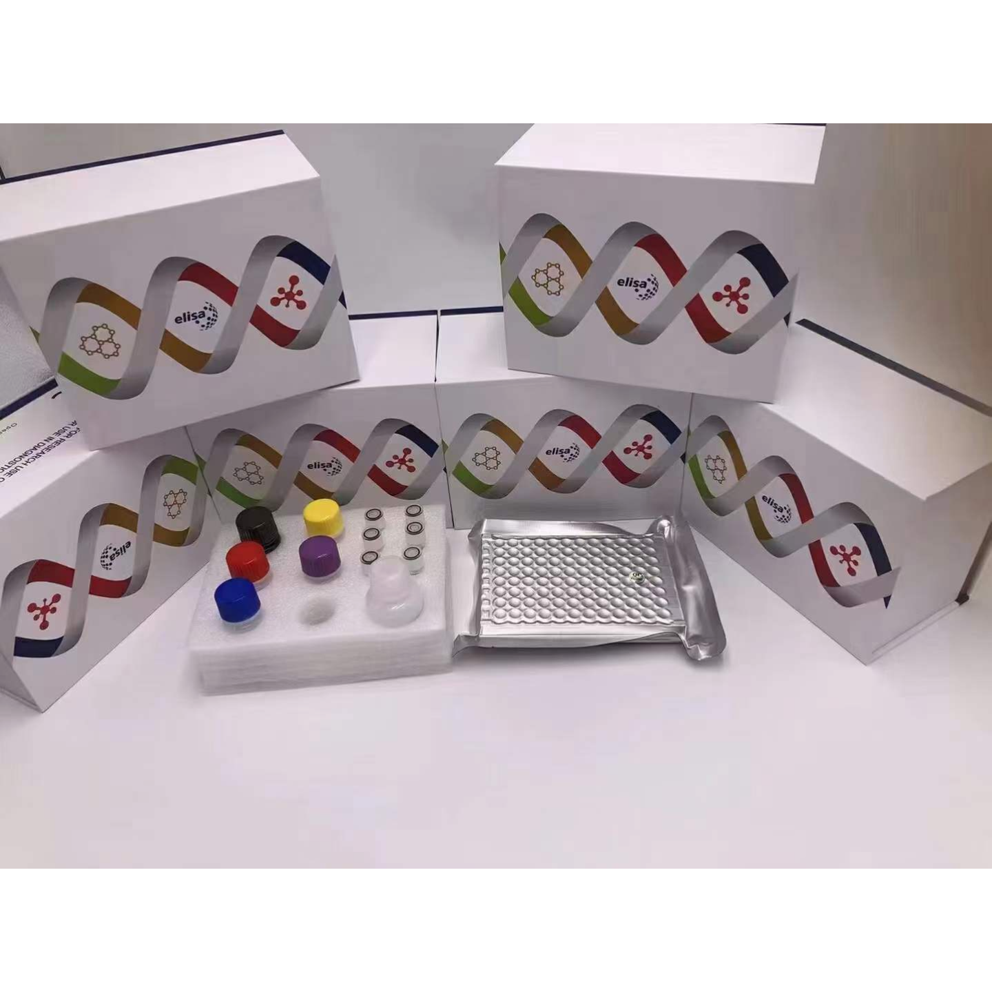 天合昆泰科技凝血酶原（PT） ELISA Kit 酶联免疫法 生物试剂盒