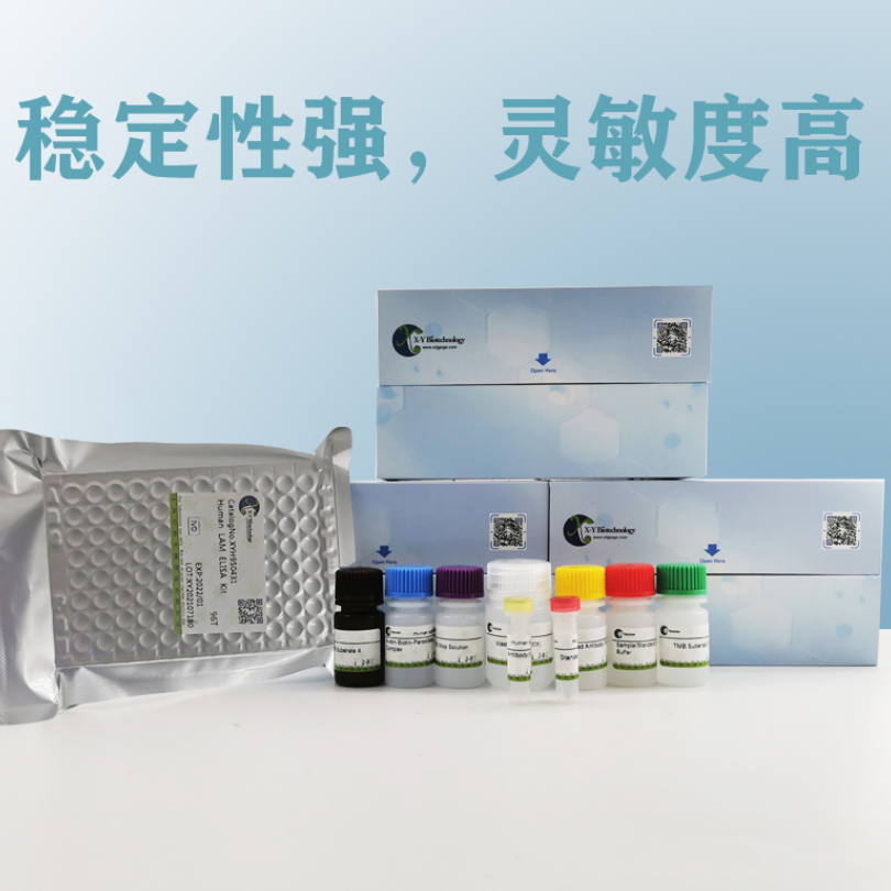 Human NAMPT ELISA Kit XY9H0651