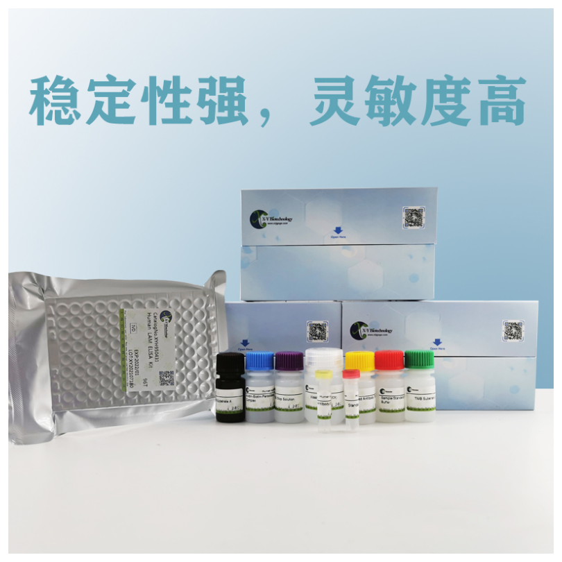 Human ELANE(Neutrophil elastase) ELISA Kit XY9H0750