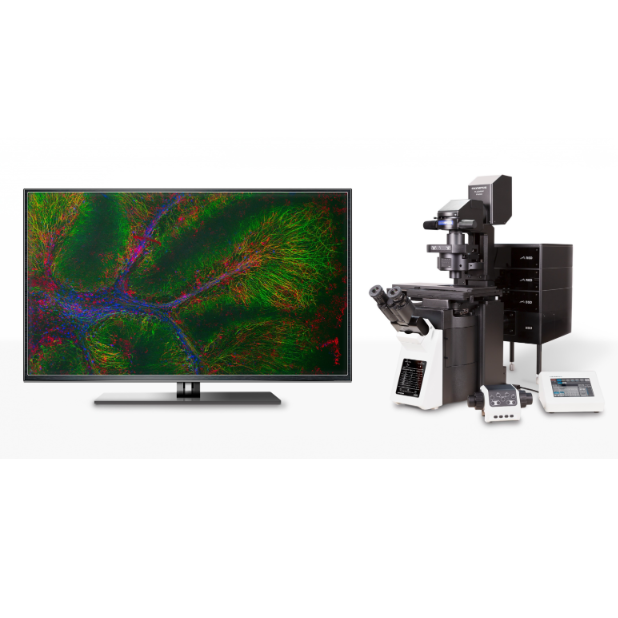 全新激光扫描共聚焦显微镜FV4000