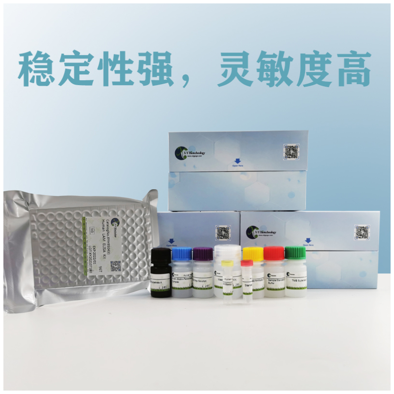 Human CFH(Complement factor H) ELISA Kit XY9H0986