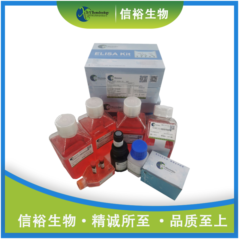 Human FCN2(Ficolin-2) ELISA Kit XY9H0136