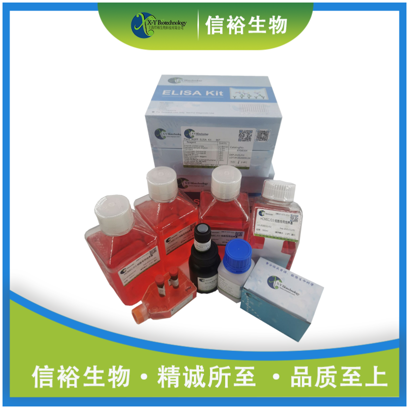 Human TSP-2(Thrombospondin-2) ELISA Kit XY9H0023