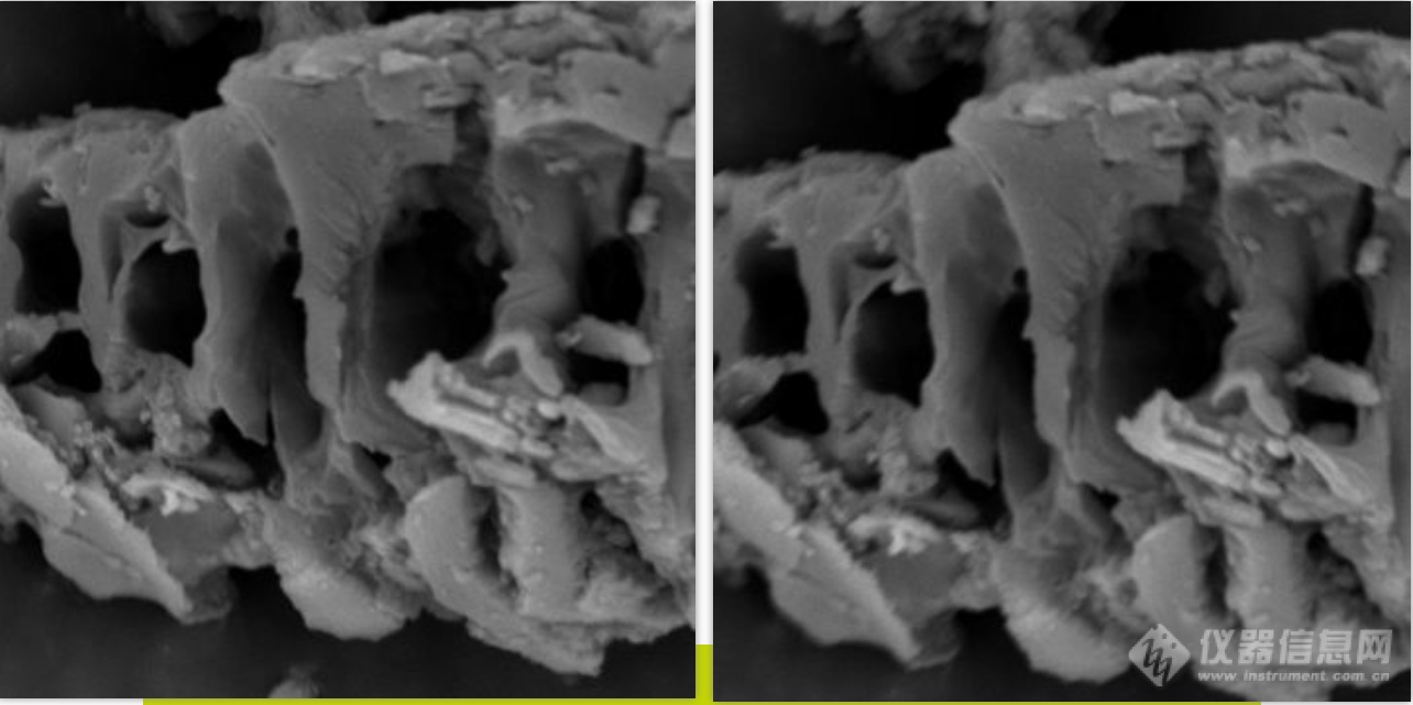 炭材料，扫描电镜放大倍数 20000 倍，左边图像无像散，右边图片有像散