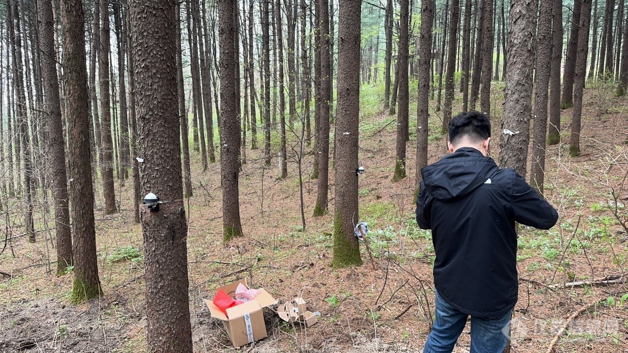 DRS26树木径向生长测量系统落户东北林业大学帽儿山实验林场