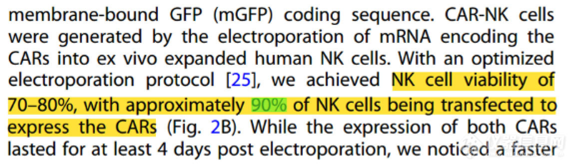 电转利器！NEPA21助力细胞与基因治疗【免疫细胞电转案例】