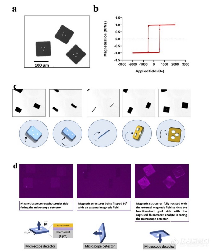 Nanoscale Advances：磁光克尔效应系统助力快速识别早期肾癌研究！