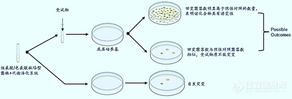 全面匹配标准要求！IPHASE新版Ames试剂盒都有这些变化！