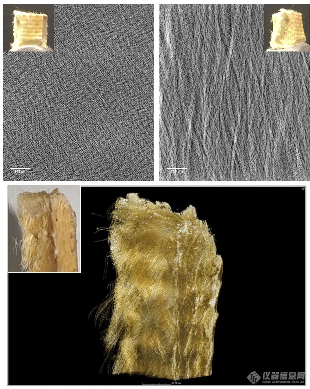 基于8μm高分辨率非晶硒探测器的科研级相衬微米CT