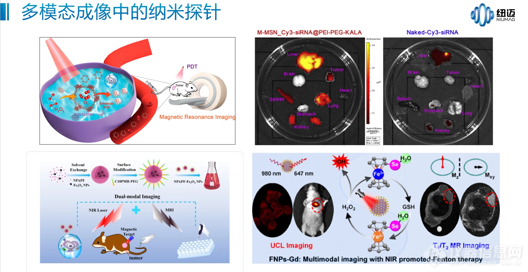 发掘低场核磁技术潜力，探索小动物活体成像发展趋势——苏州纽迈分析仪器股份有限公司