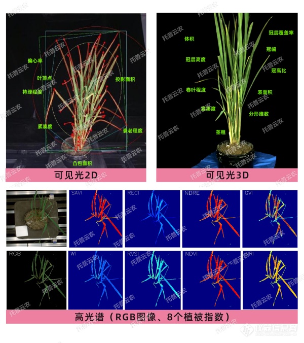 托普云农“高通量植物表型采集分析平台”荣获CISILE 2024 “自主创新金奖”