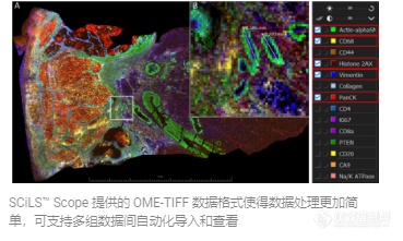 布鲁克neofleX™ MALDI-TOF/TOF 空间成像质谱仪-布鲁克-新品