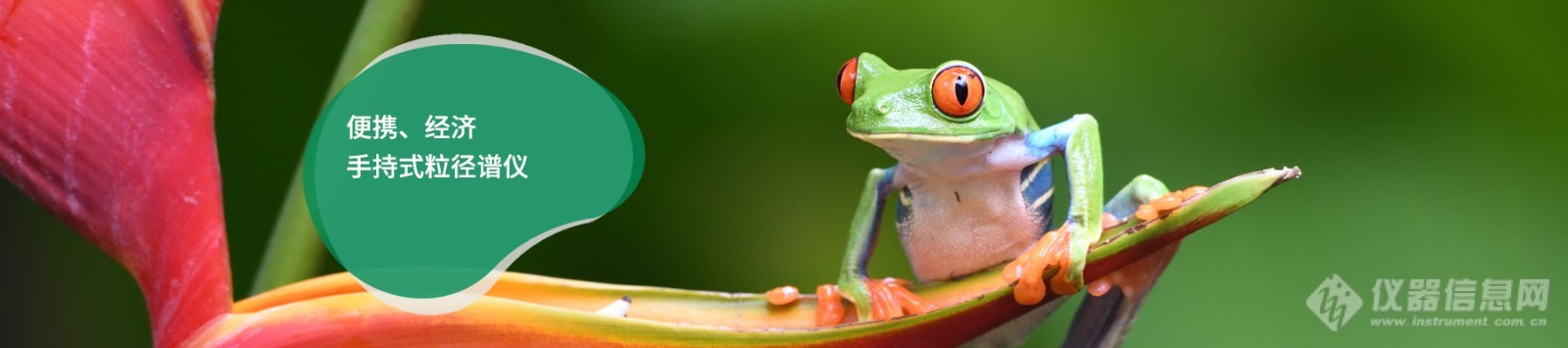 Palas webiste banner_1800x400_2024_Fidas Frog_CN.jpg