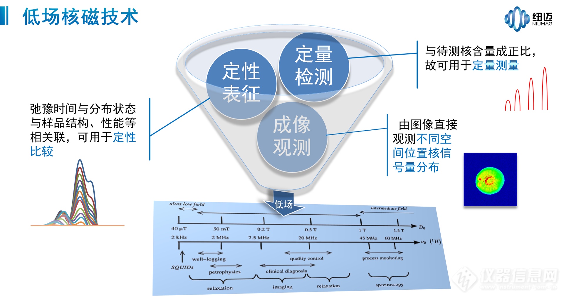 发掘低场核磁技术潜力，探索小动物活体成像发展趋势——苏州纽迈分析仪器股份有限公司