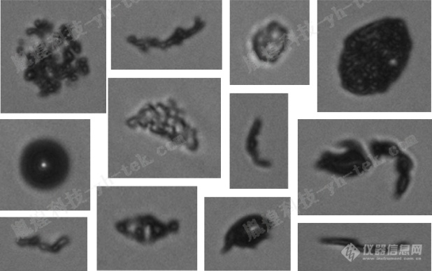 微流成像颗粒分析系统-图像法粒度仪1.jpg