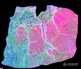 布鲁克neofleX™ MALDI-TOF/TOF 空间成像质谱仪-布鲁克-新品